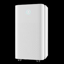 Cost-Effective Comfort: Analyzing the Energy Efficiency of the Ukoke 32-Pint System